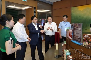 Điện Biên increases agricultural product value through linkage chains
