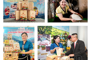 'Developing OCOP products from local advantages