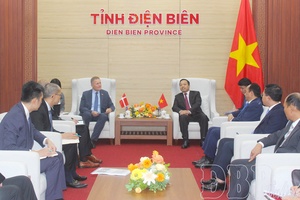 Comrade Trần Tiến Dũng welcomes Danish Ambassador to Vietnam