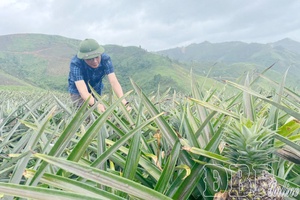 Bringing communal Party Resolutions into life