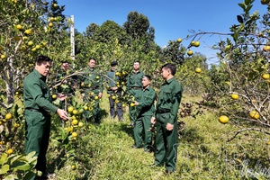 Beautifying virtue of Uncle Hồ’s soldiers