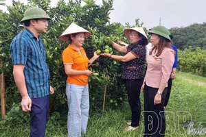 Promoting role of farmers in agricultural and rural development