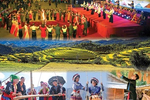 'Endless experiences