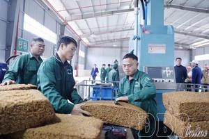 Điện Biên’s industrial production: A year of breakthroughs