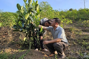 '“Momentum” from national target programs