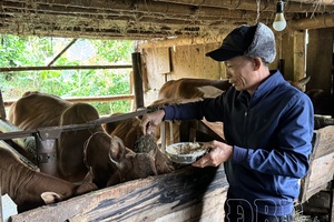 Applying science and technology in livestock farming