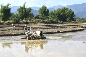 Preparing conditions for winter-spring production