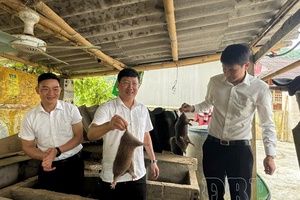 Managing wildlife farming activities