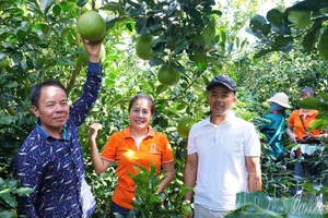 Turning farmland into green destinations in Điện Biên