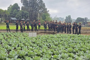 Standing side-by-side with Laos in ensuring logistics and technical affairs