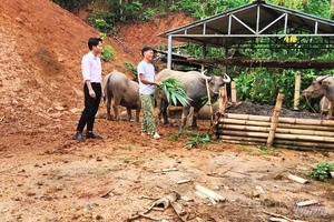 Strengthening inspection, supervision, and promoting effectiveness of preferential loan sources