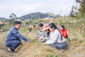 Supporting people to develop production in Tìa Dình