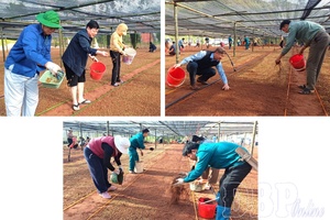 From slogans to action: Điện Biên rallies ahead of 14th National Party Congress