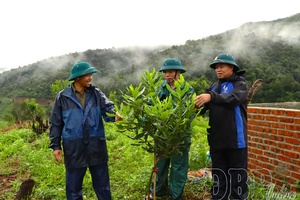 Foundation for sustainable agricultural restructuring