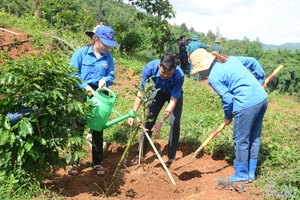 Điện Biên charts a green, smart and sustainable development path