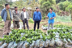 Fostering Party membership among ethnic minority communities