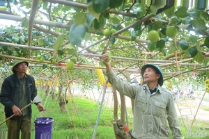 Human resources - “bottleneck” in high-tech agricultural development