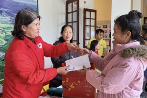 Everyone should have a cozy Tết