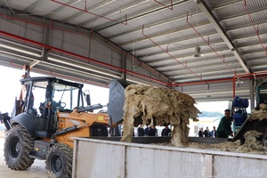 Điện Biên boosts production to welcome 14th National Party Congress