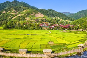 “Barriers” in building new-style rural areas