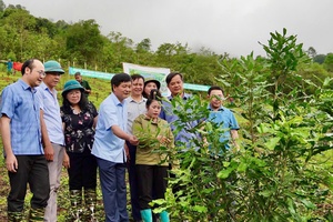 Positive signals from attracting investment in key sectors