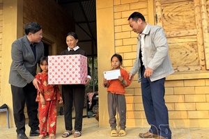 Effective grassroots-level governance drives socio-economic development