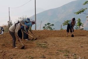 Effectively exploiting unused land