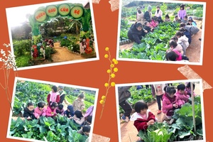 Ensuring food safety in school meals to protect students’ health