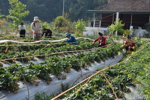 'The momentum from emulation