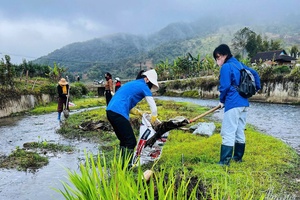 'Building green lifestyle