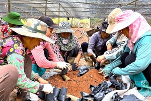 'From policy to practice: communes move on Resolution 11