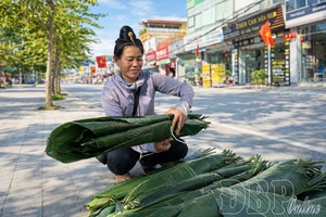 Dong leaf season comes to town