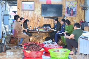 'Welcoming peaceful spring from safe stalls