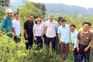 A solid foundation for the new journey