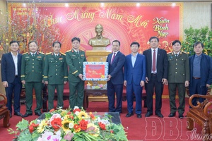Provincial Party Secretary extends Tết greetings to local Military Command