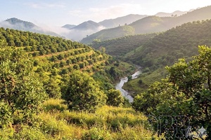 Aspirations to reach further