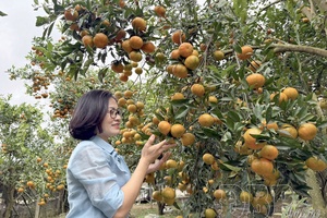 Điện Biên eyes green development