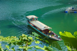 Hạ Long Bay on the mountain