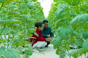 Keeping pace with digital economy