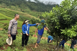 Điện Biên to promote role of Vietnam Fatherland Front in new stage