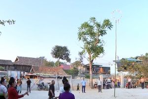 'Traditional Tết customs of Black Thai people