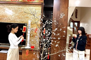 Peach branches bring spring to streets