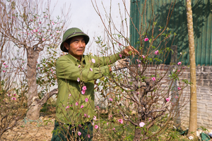 Renting out the Spring