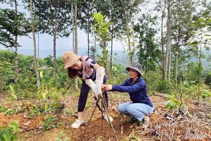 Điện Biên: Putting people first in fight against poverty