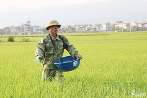 Establishing Mường Thanh rice and Pu Lau honey pineapple trademarks