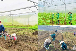 Vibrant production atmosphere