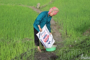 Accelerating production to ignite growth momentum