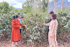 Creating breakthrough opportunities for Mường Ảng’s sustainable development