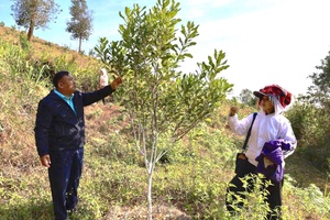 Accompanying people in production development