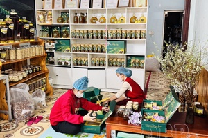 Tuần Giáo promotes linkages and consumption of agricultural products